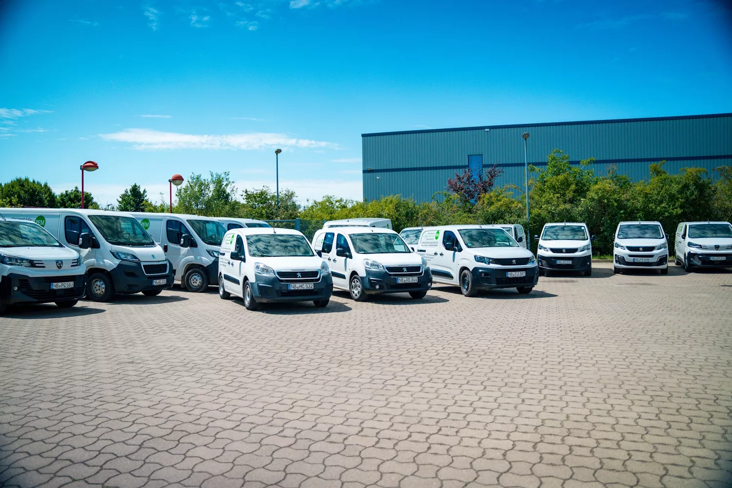 PEM GmbH & Co. Elektro Rohs KG - Teil des Mitarbeiterteams - 4
